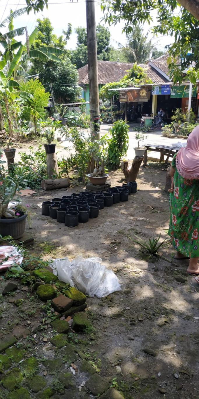PERSIAPAN KEGIATAN PENYEMAIAN BIBIT TANAMAN OLEH IBU-IBU PKK DI DUSUN NANGSRI
