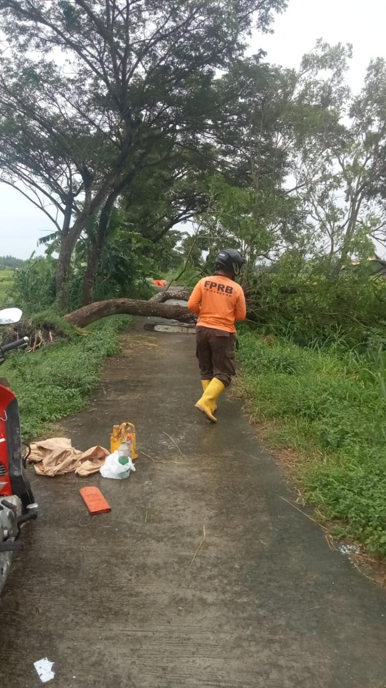 Angin kencang sebabkan pohon tumbang dan genting berhamburan